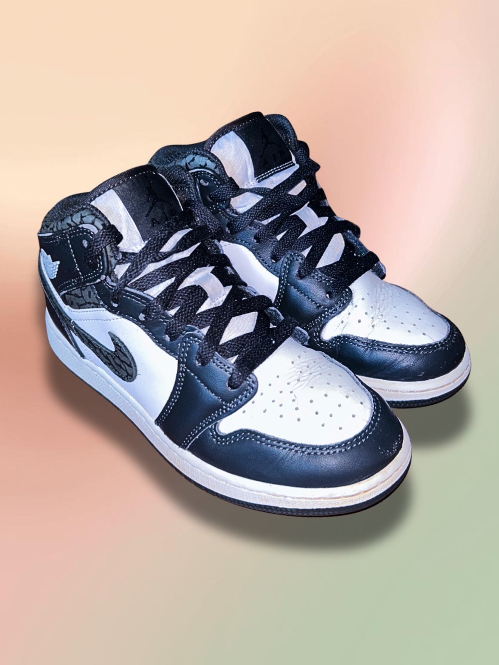 Nike Air Jordan 1 Mid SE 'Panda Elephant' FB9909-001